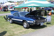 MUSTANG